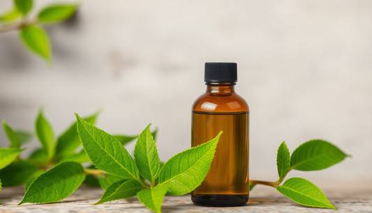 Unlock the Hair Regrowth Power of Authentic Batana Oil from Honduras: Proven Benefits for Thicker, Healthier Hair in 2026